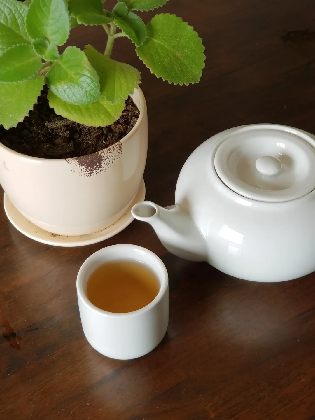 A white teapot and cup of tea on a wooden table beside a plant.